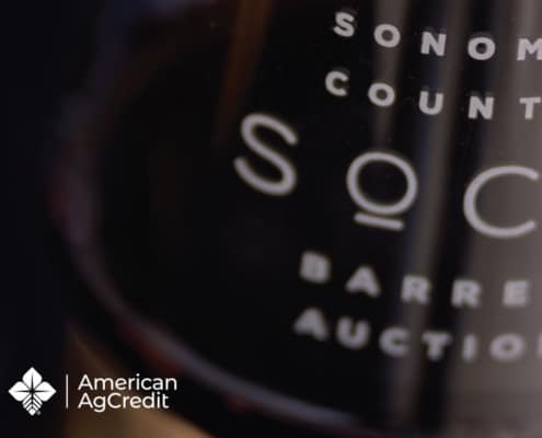 Sonoma County Barrel Auction glass with red wine in it and Presented by American AgCredit